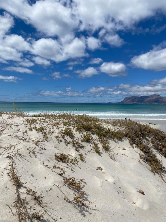 Природа в окрестностях апартаментов/квартиры