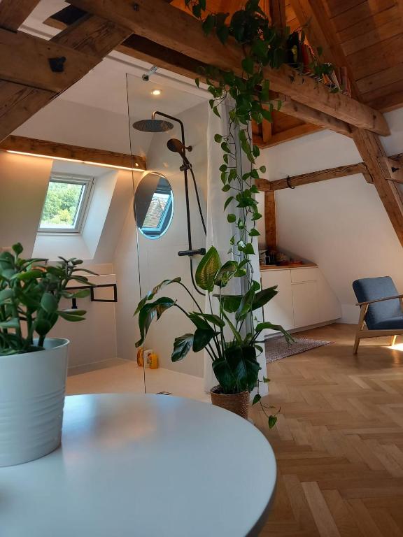 Un petit nid atypique au cœur de Munster - Appartement Met 1 Slaapkamer