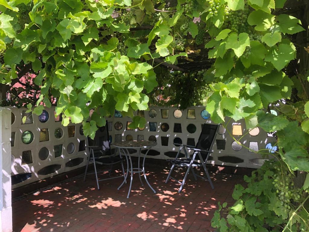 Φωτογραφία από το άλμπουμ του Lüttes Nest σε Wischhafen