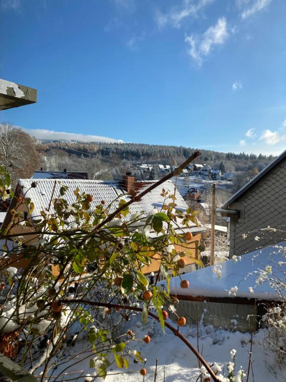 a tree with oranges on it in the snow at Ferienhaus Im Grünen in Zella-Mehlis