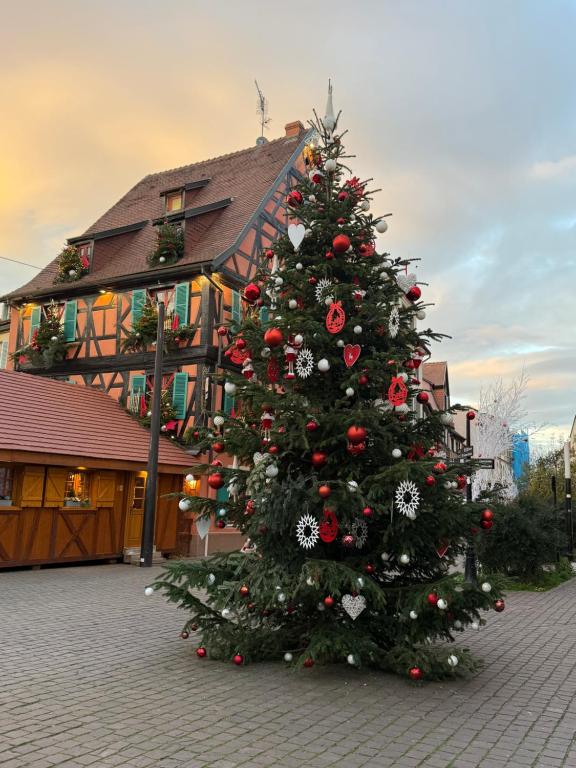 Le charme d'Alsace – Foto 22