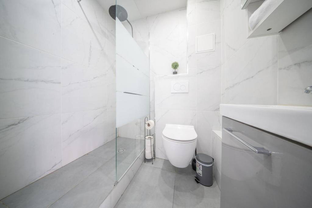appartement à proximité de bâle avec accès tram et wifi – photo 4