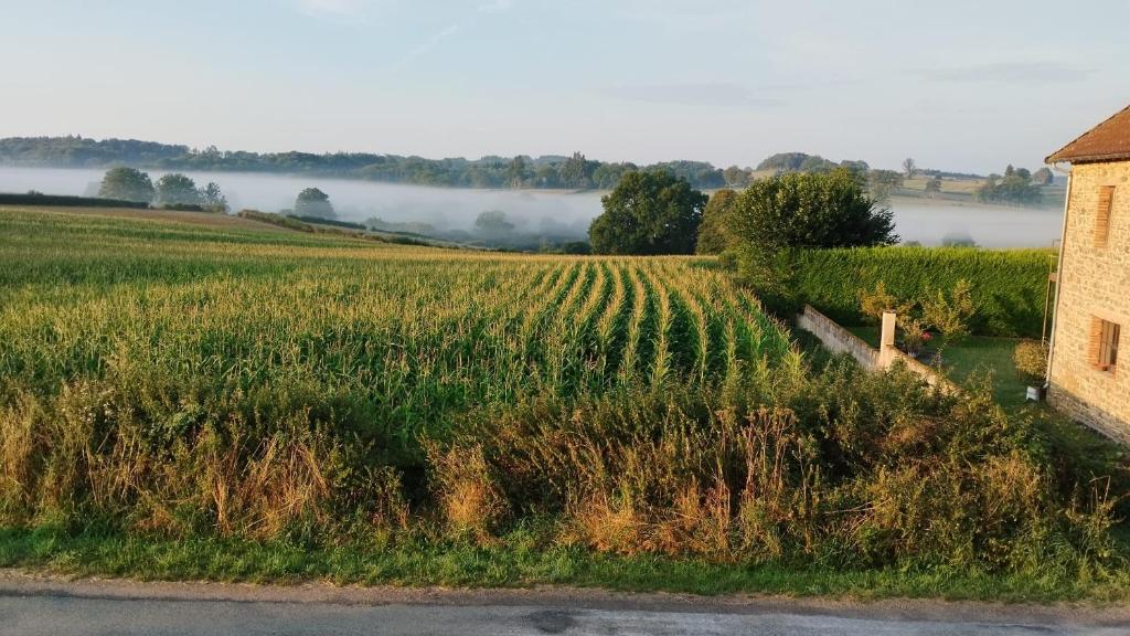 Paysage naturel près de la maison de vacances