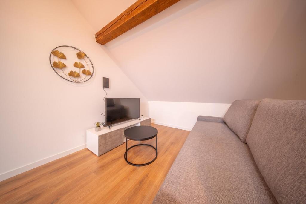 TV a/nebo společenská místnost v ubytování Super Appartement Near Basel 8 4 personnes