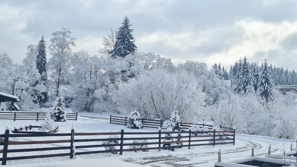 ein schneebedecktes Feld mit einem Zaun und Bäumen in der Unterkunft Pensiunea Tora in Vatra Dornei