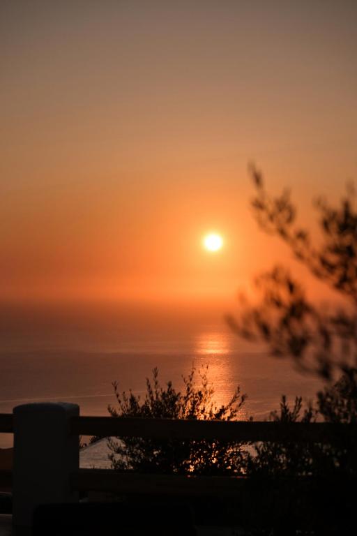 Splendour Hotel and Suites - 6