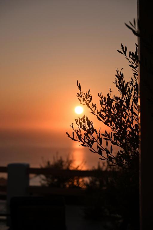 Splendour Hotel and Suites - 5