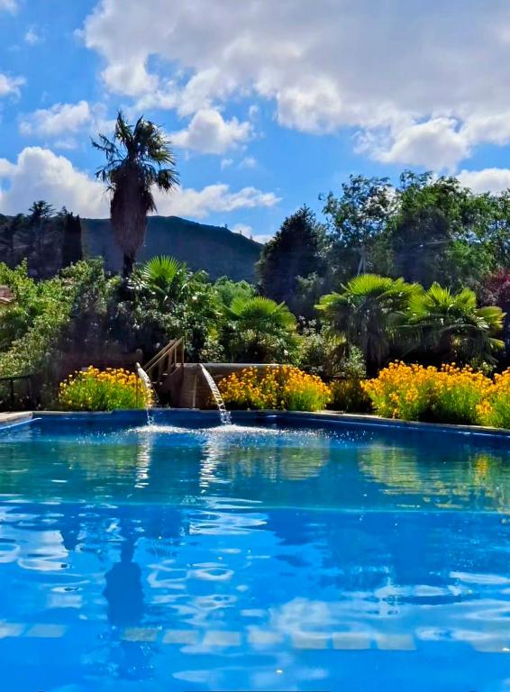 a swimming pool with a palm tree in the background at Hosteria Pastoral & Spa in La Cumbre