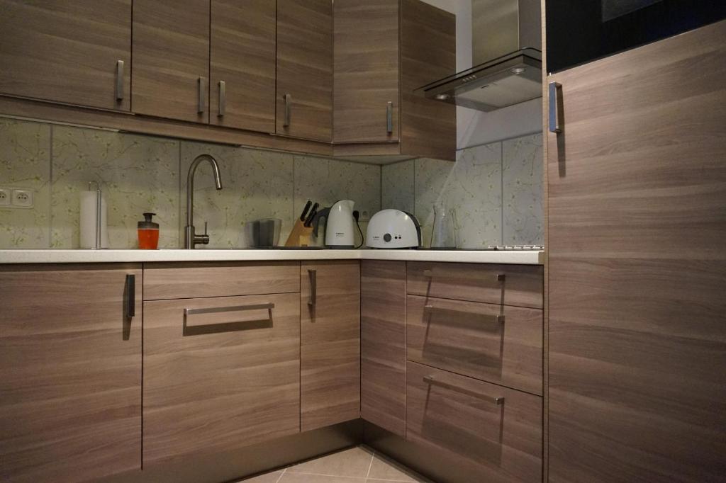 Kuchyň nebo kuchyňský kout v ubytování Leongargt Apartments