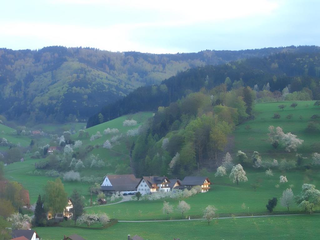 a house in the middle of a green field at Scharbachhof in Glottertal