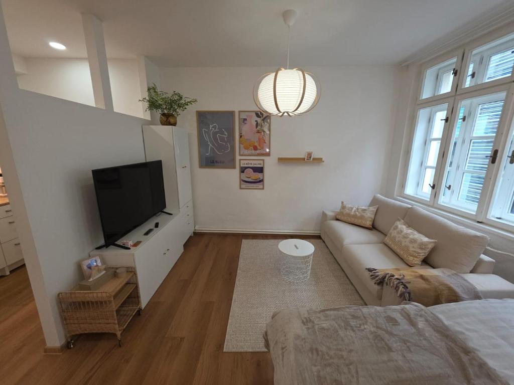 Una sala de estar con un sofá y un televisor en Apartmány v centru Olomouce, en Olomouc