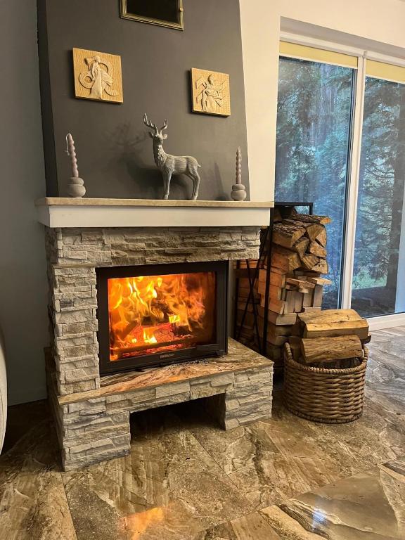 Billede fra billedgalleriet på PANORAMA Małe Swornegacie i Małe Swornigacie