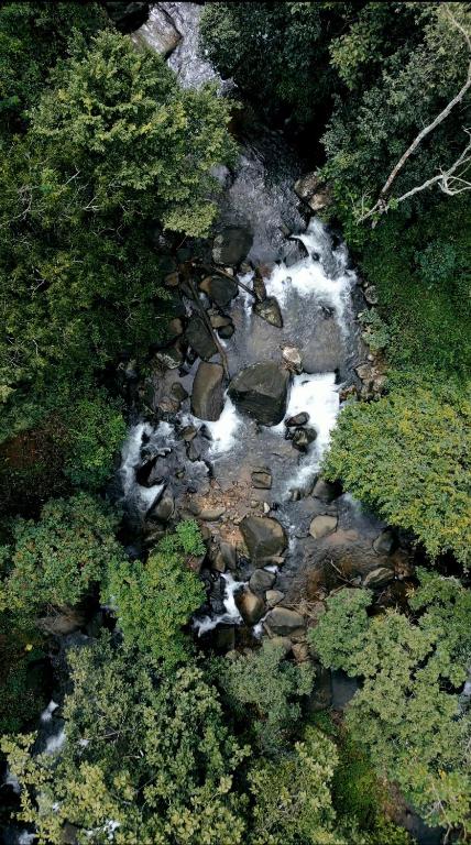 an aerial view of a river with rocks and trees at Hill Rows Plantation and Forest Experience By GreenEscapes in Vythiri