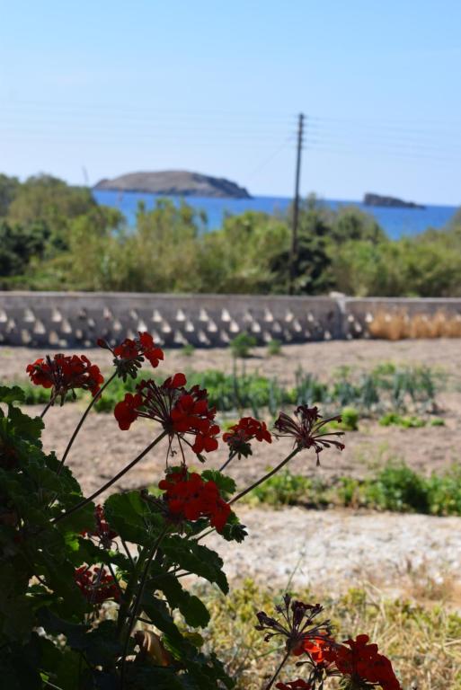 Milos Airport Greece