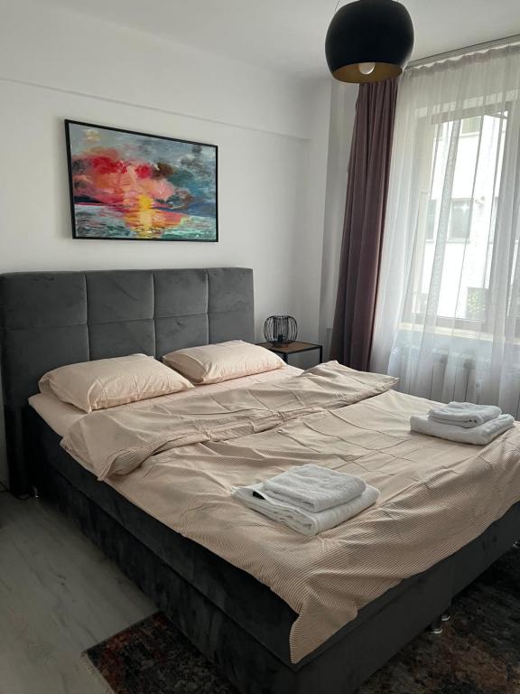 克拉约瓦Beatrice Residence Centru Vechi的卧室里的一张床上有两条毛巾