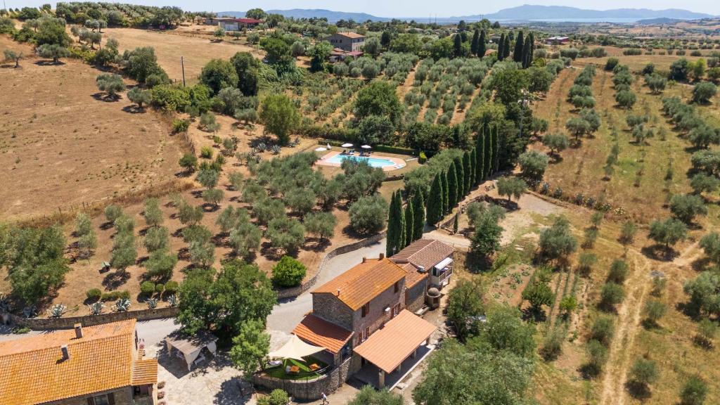 an aerial view of a house with a pool and trees at La Fontaccia 10 by VacaVilla in Montiano