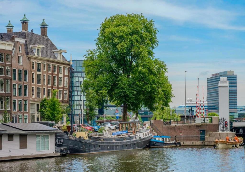 a river with boats docked next to buildings and a tree at Houseboat Reussi in Amsterdam
