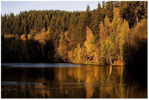 Příroda nedaleko prázdninového domu