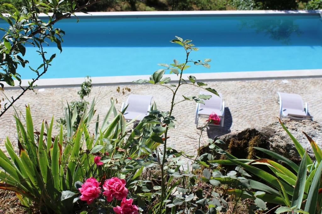 a garden with pink flowers and a swimming pool at Renoviertes Landhaus Für 7 Personen In Tondela in Tondela