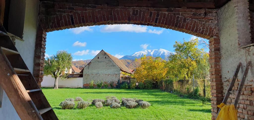 En have udenfor Curte la Munte - charming village house