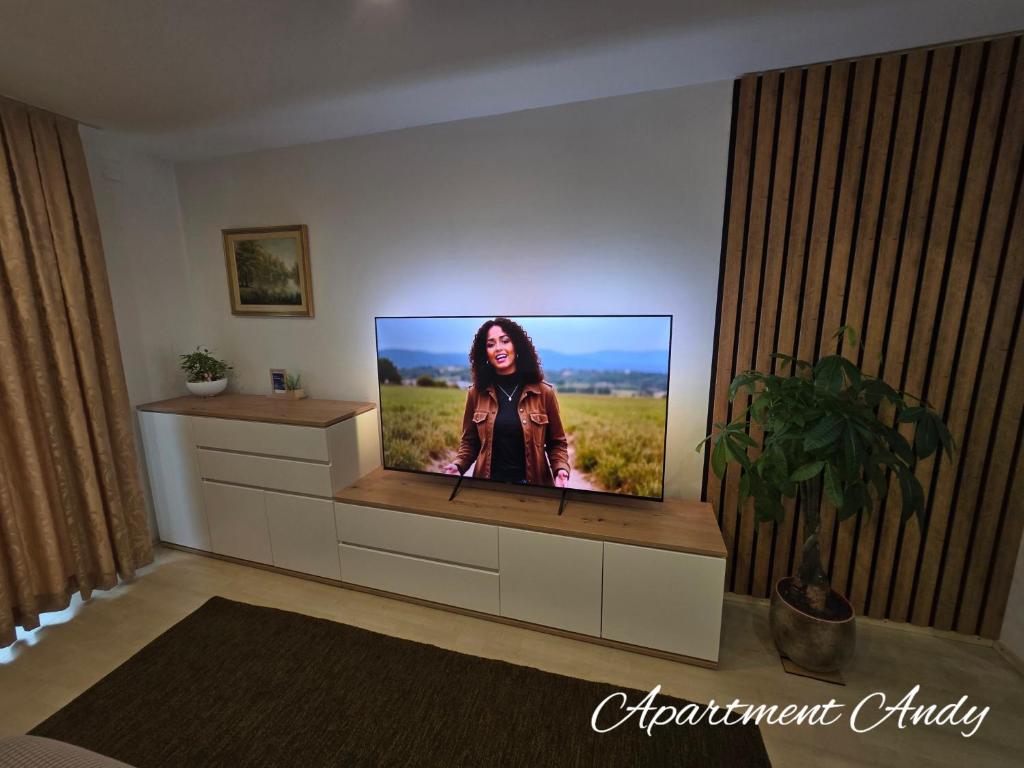 Μια τηλεόραση ή/και κέντρο ψυχαγωγίας στο Apartment Andy
