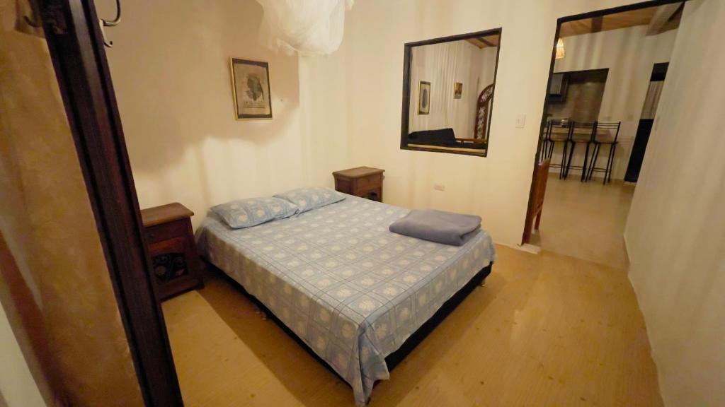 ein Schlafzimmer mit einem Bett und einem Spiegel in der Unterkunft La Mesa - Manzanares in La Mesa