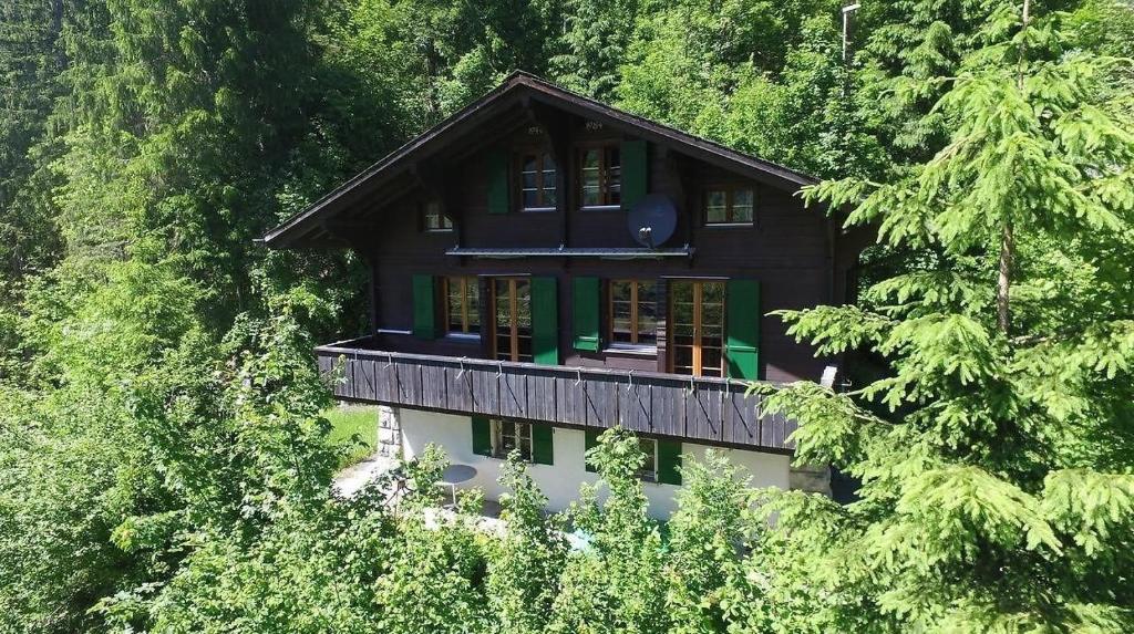 a house in the middle of the trees at Chalet Tannegüetli in Grindelwald
