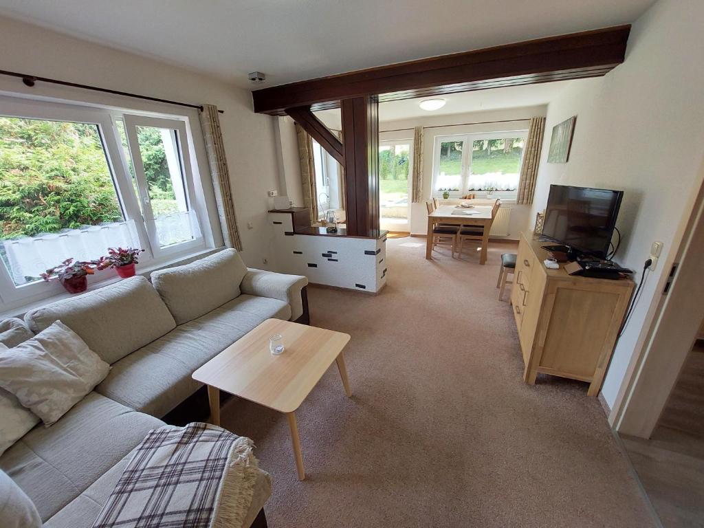 Televiisor ja/või meelelahutuskeskus majutusasutuses Fewo Am Skihang Eg