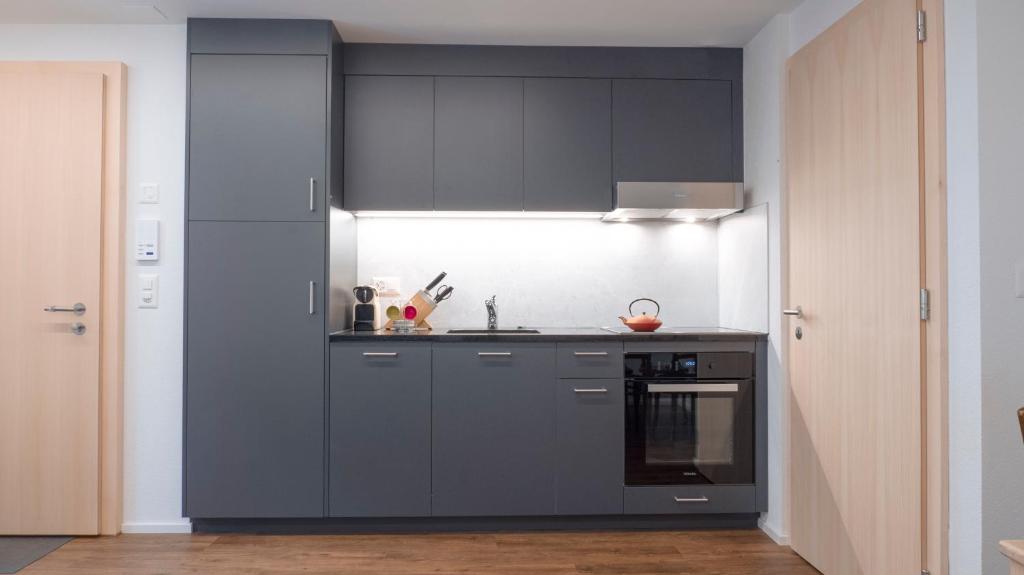 a kitchen with gray cabinets and a stove at Appartement 1 chambre proche stations in Saxon