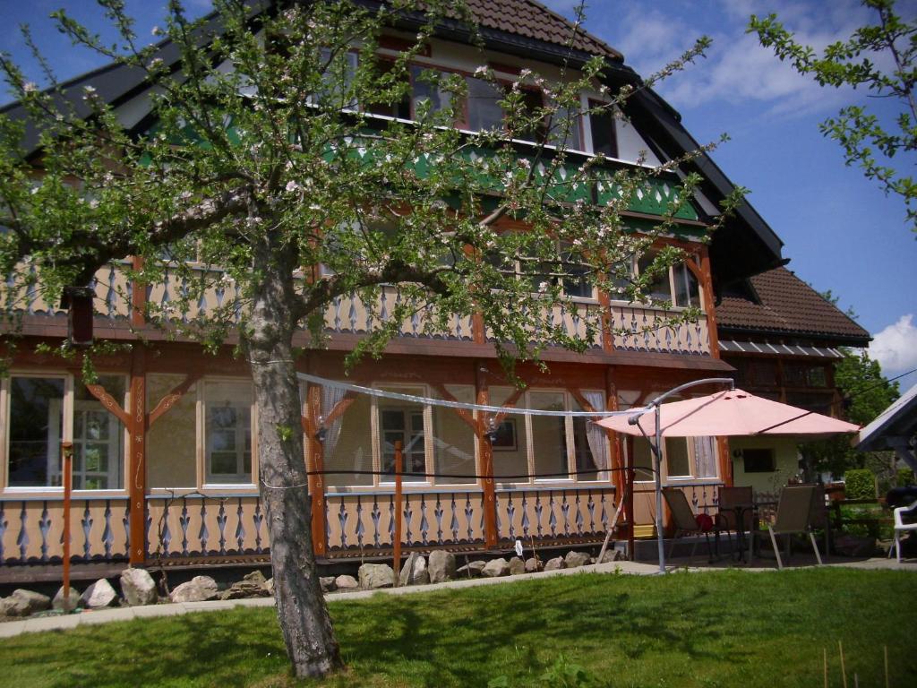ein Haus mit einem Baum und einem Regenschirm davor in der Unterkunft Appartement in Innerlehen mit Terrasse, Grill und Garten in Bernau im Schwarzwald