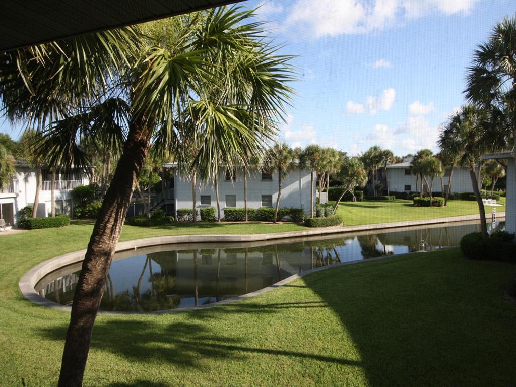 una palma seduta accanto a una piscina di Whitney Beach #142 a Whitney Beach