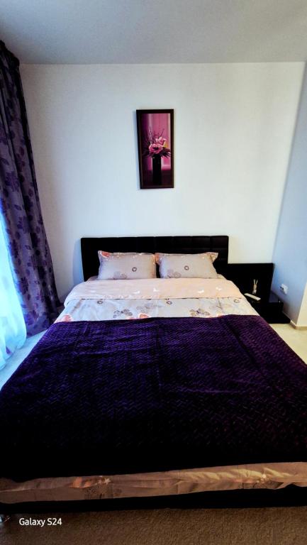 une chambre avec un grand lit avec une couverture violette dans l'établissement Ferval Confort Craiova, à Craiova