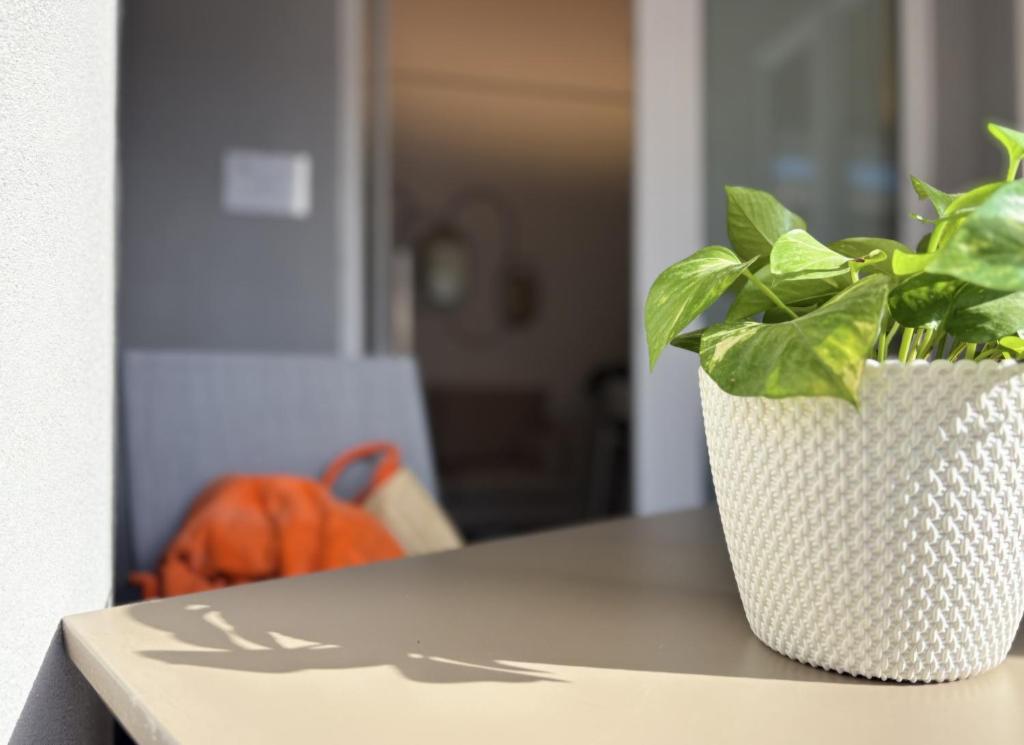 eine Pflanze in einem weißen Topf auf einem Tisch in der Unterkunft NALI Apartment 2 in Civitanova Marche