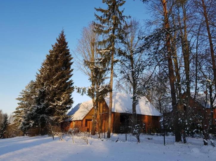 een houten schuur in een met sneeuw bedekt veld met bomen bij Namiņš Brīviņi in Jaunjelgava