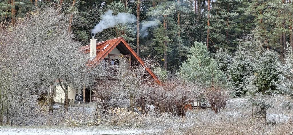une maison d'où s'échappe de la fumée dans une forêt dans l'établissement Ciechówka, à Wilimy