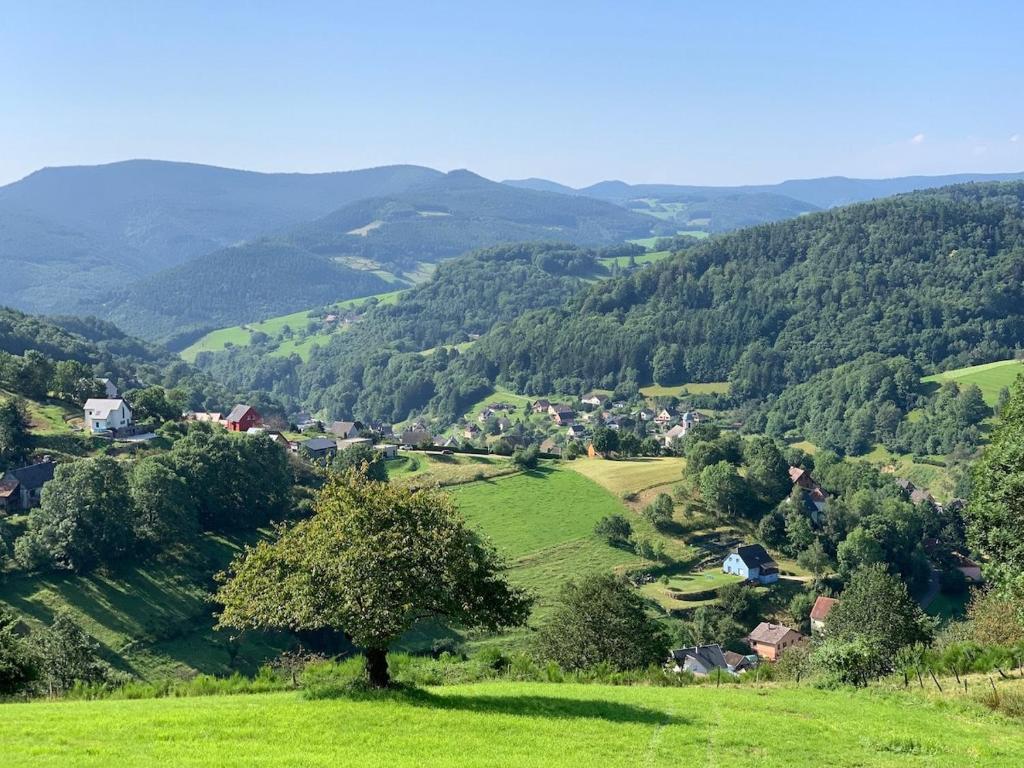 Gîte Cocon d Alsace - garage inclus - terrasses – photo 34