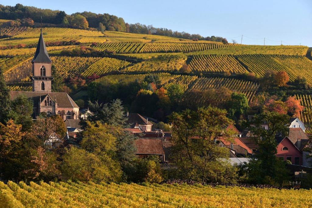 Gîte Cocon d Alsace - garage inclus - terrasses – photo 32