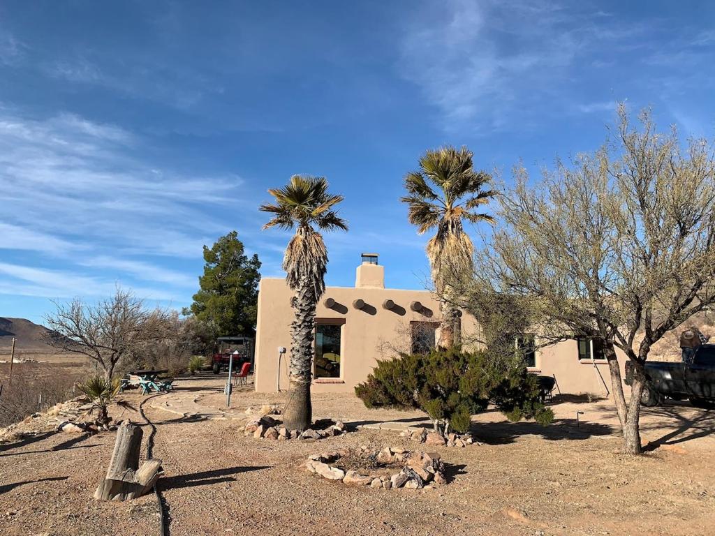 a building with two palm trees in front of it at Indian Ridge Casita in Willcox
