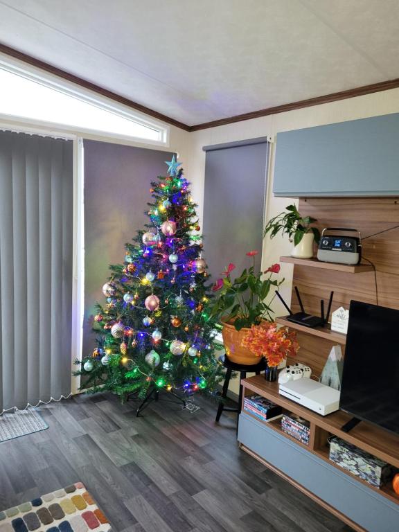 - un arbre de Noël dans un salon dans l'établissement Elegant 2 Bedroom En-Suite Caravan with Bathtub near Edinburgh Seton Sands Holiday Village, à Port Seton