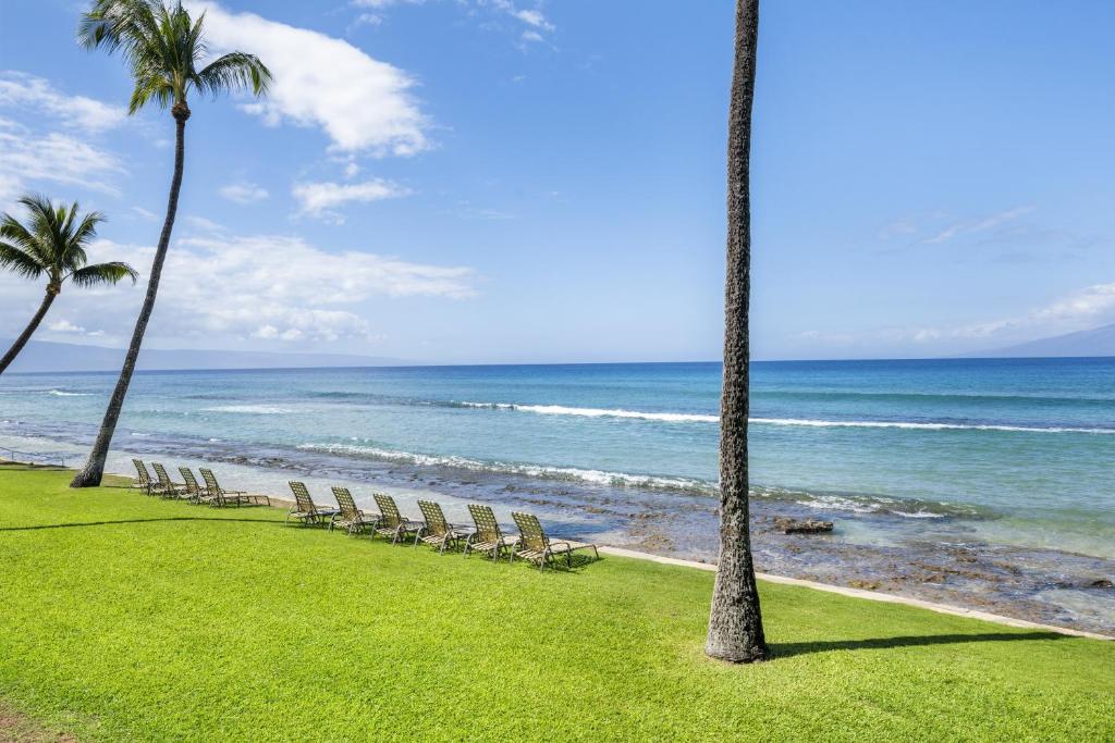 Φυσικό τοπίο κοντά σε αυτό το διαμέρισμα