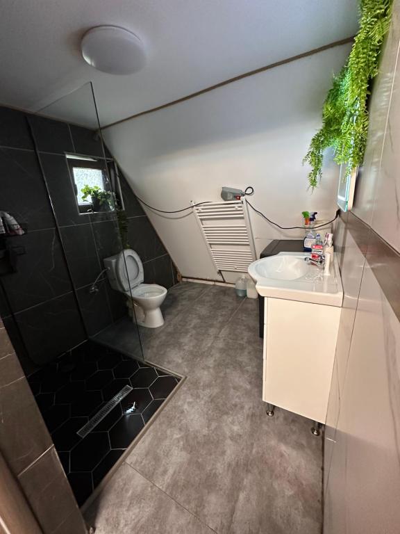 a small bathroom with a sink and a toilet at Forest Property in Hăghiac