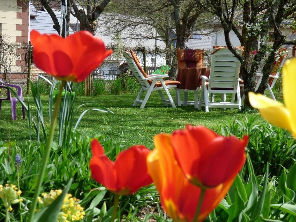 Zahrada ubytování Ferienwohnung In Siesbach