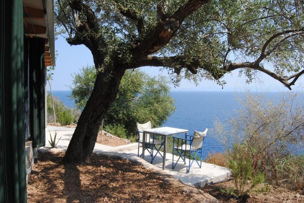 ein Tisch und Stühle unter einem Baum neben dem Meer in der Unterkunft Leonidionhouses - Der Kleine Bungalow in Leonidi