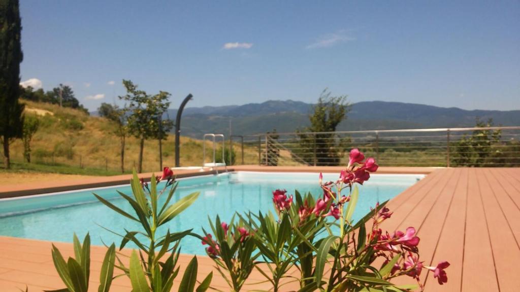 特拉诺瓦-布拉乔利尼Flache Linde的木甲板上的鲜花游泳池