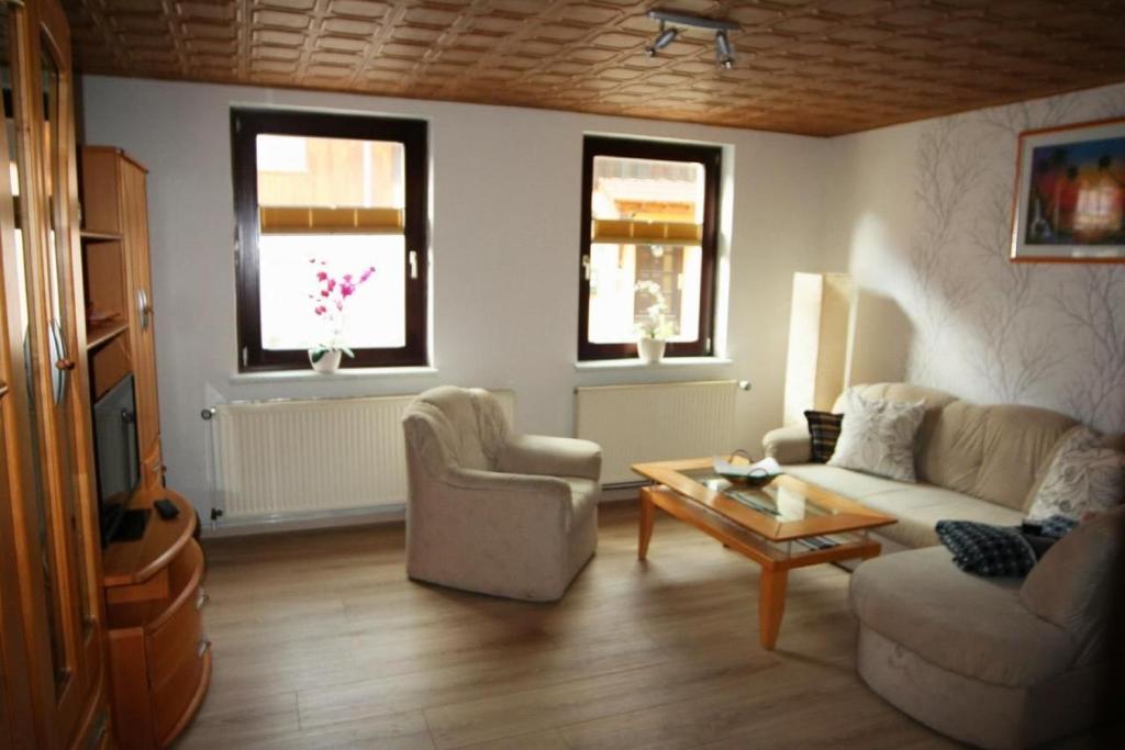 a living room with a couch and a table and two windows at Mönch in Harztor