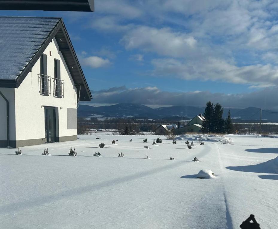 eine Gruppe Vögel sitzt im Schnee neben einem Gebäude in der Unterkunft Osada Zdrojowa u Martyny in Długopole Dolne