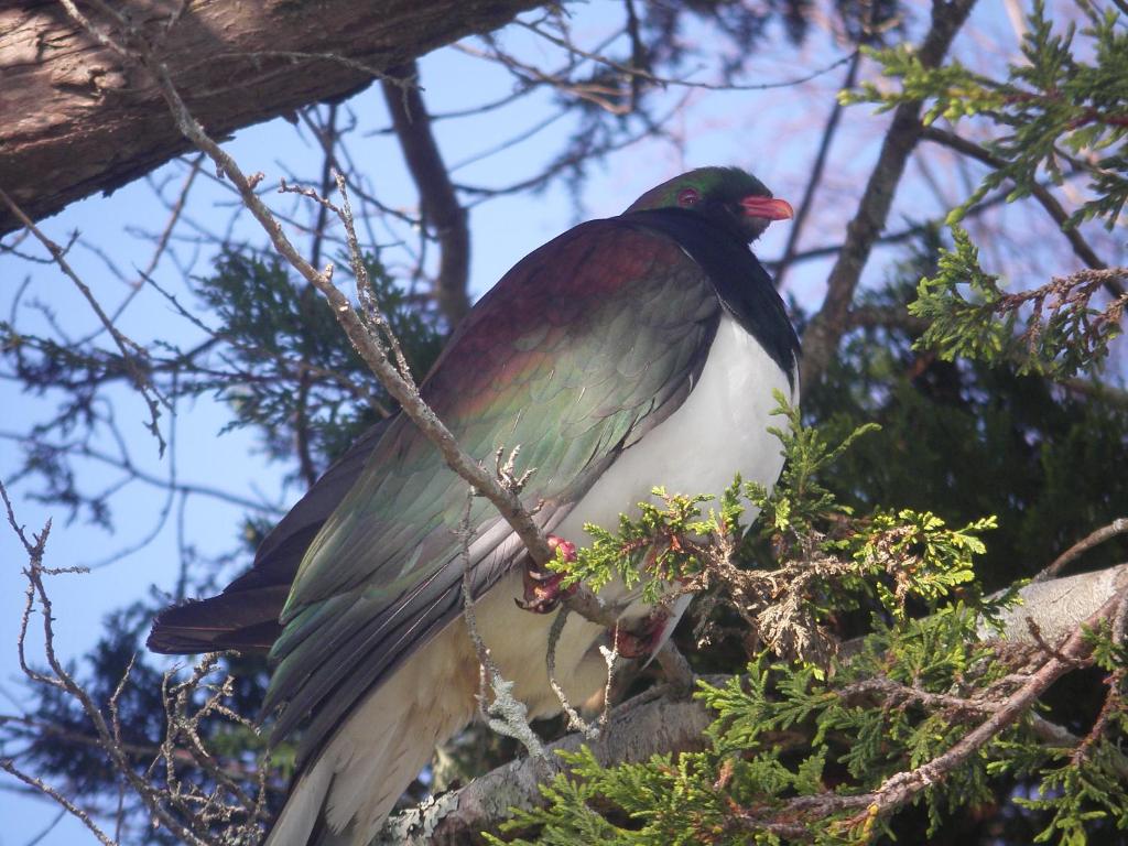 Harbourside Holiday Park - Resim 36