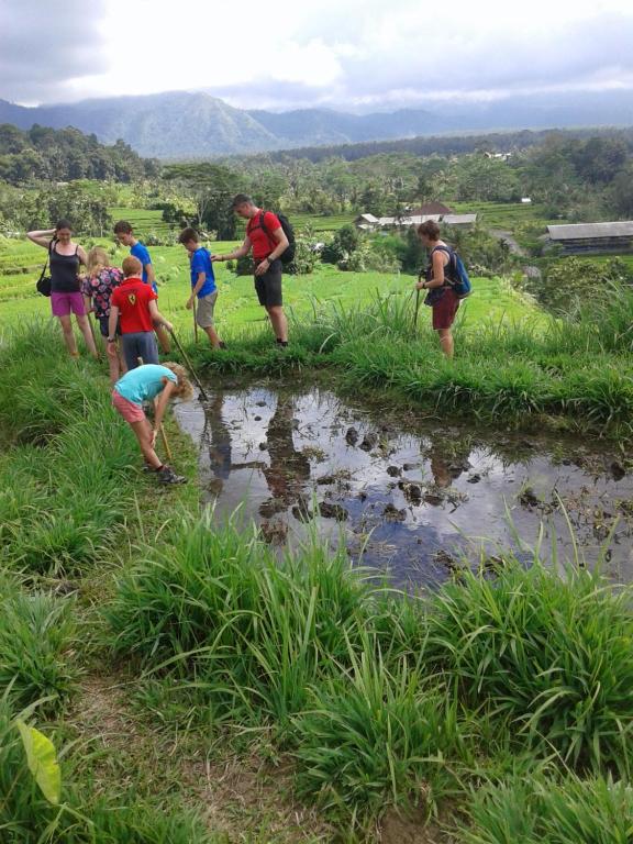 a group of people standing in the grass near a pond at Pondok Lembah Dukuh Homestay in Tirtagangga