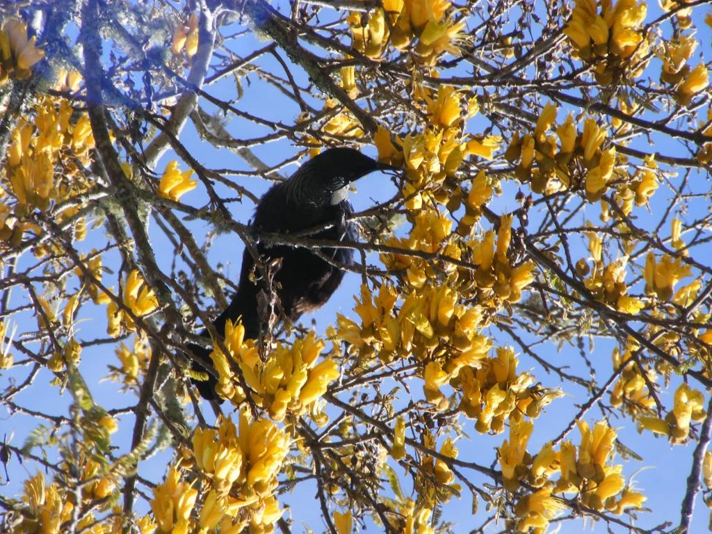 Harbourside Holiday Park - Resim 32