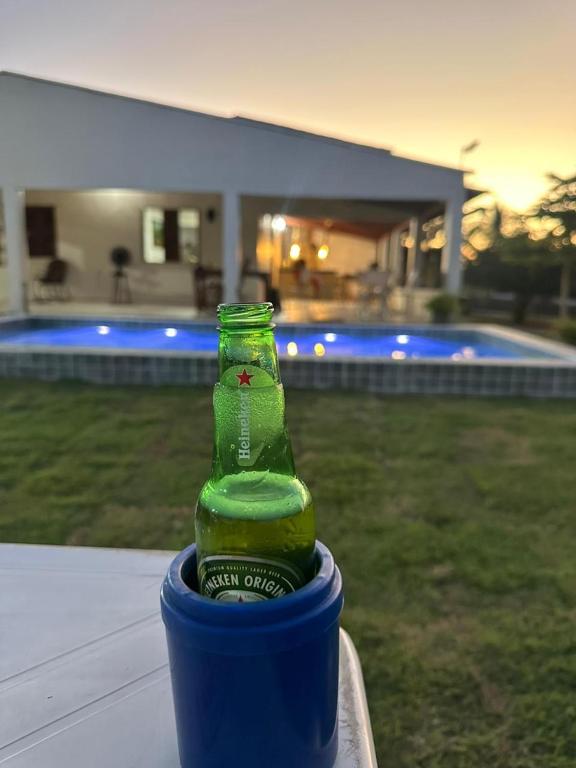 a green bottle is sitting in a blue planter at Chácara Santa Terezinha in Quixeramobim